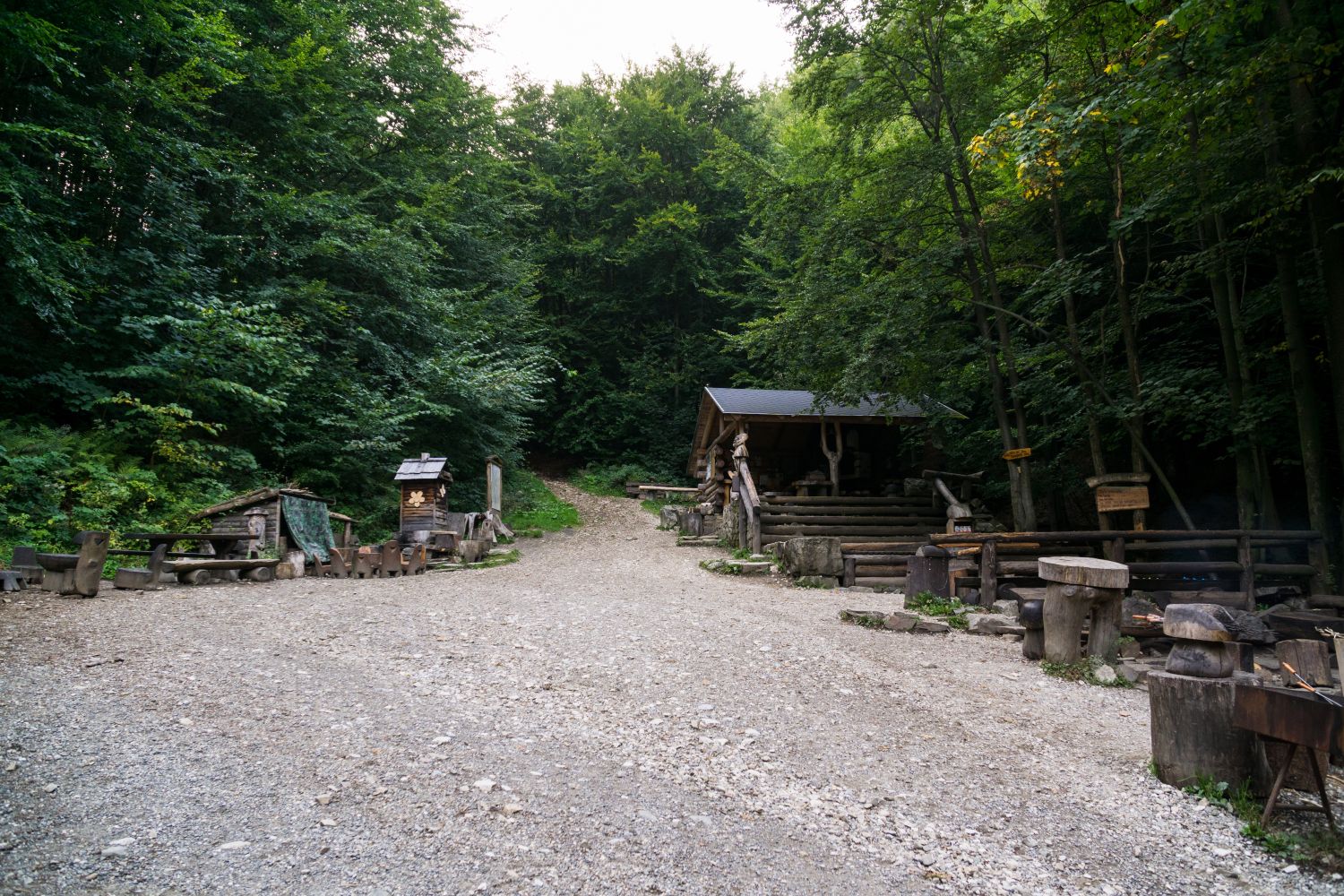 08
