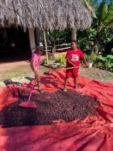 dom